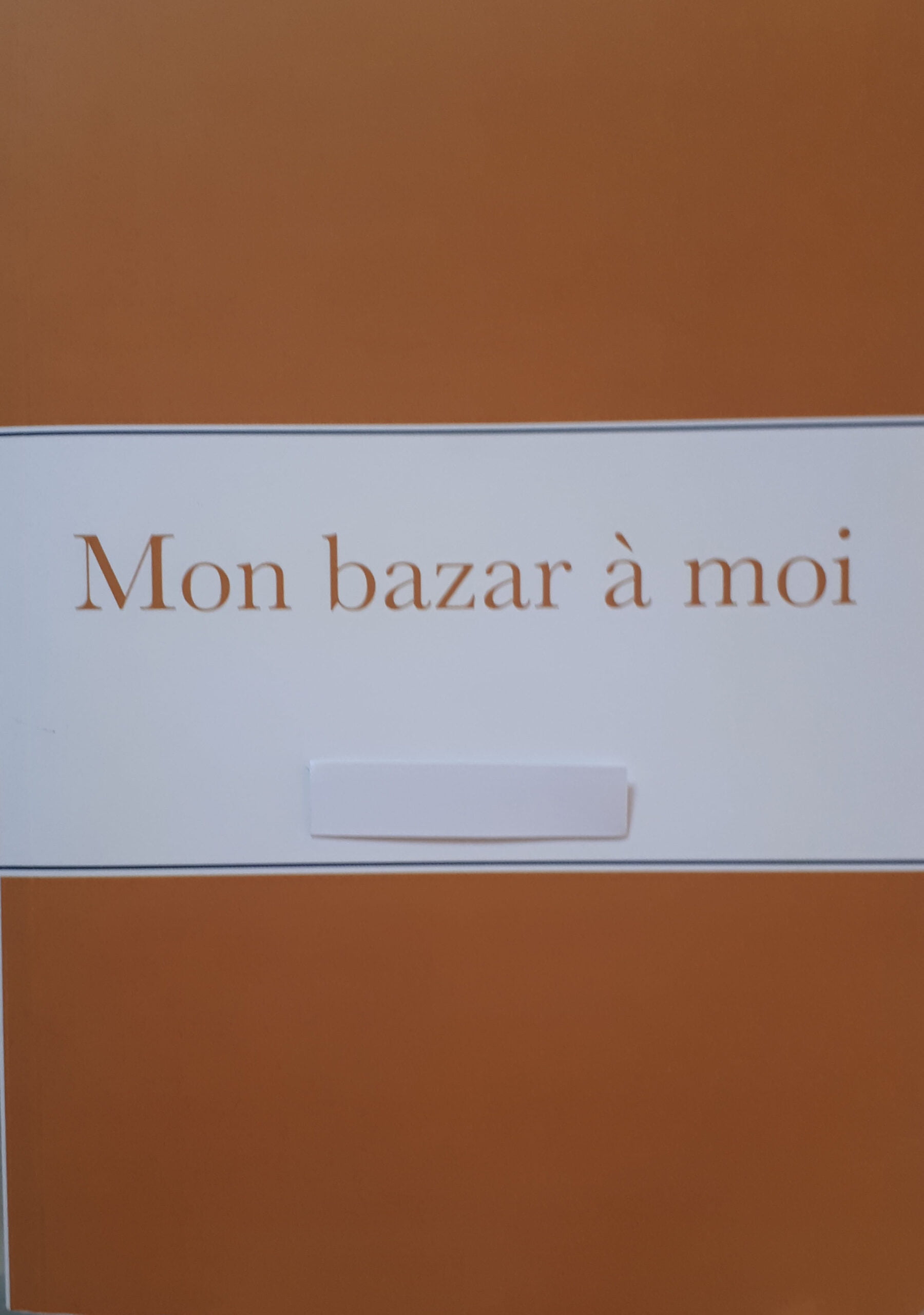 You are currently viewing Prête-moi ta plume… pour écrire ma vie.